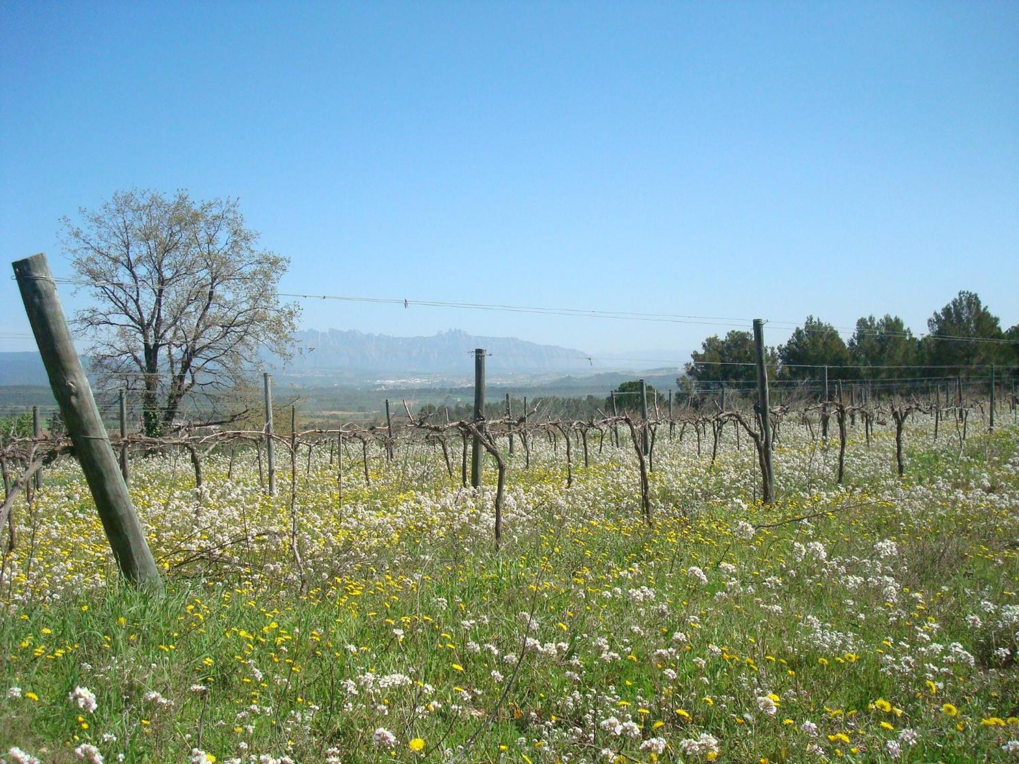 Comarquinal Bioresort Penedes San Quintin de Mediona ภายนอก รูปภาพ