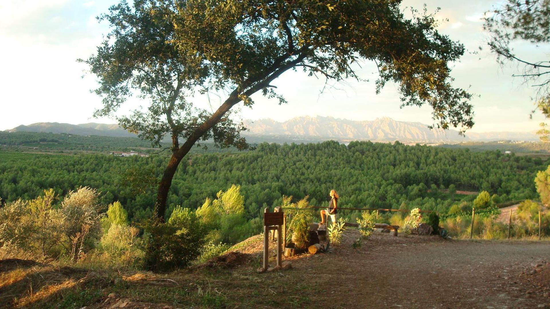 Comarquinal Bioresort Penedes San Quintin de Mediona ภายนอก รูปภาพ